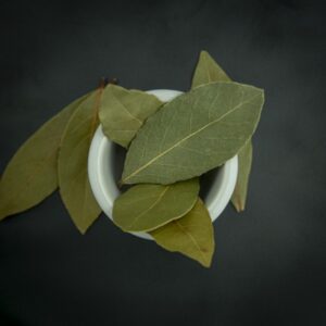Liść laurowy