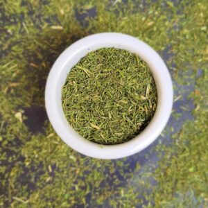 Koper suszony w igłach