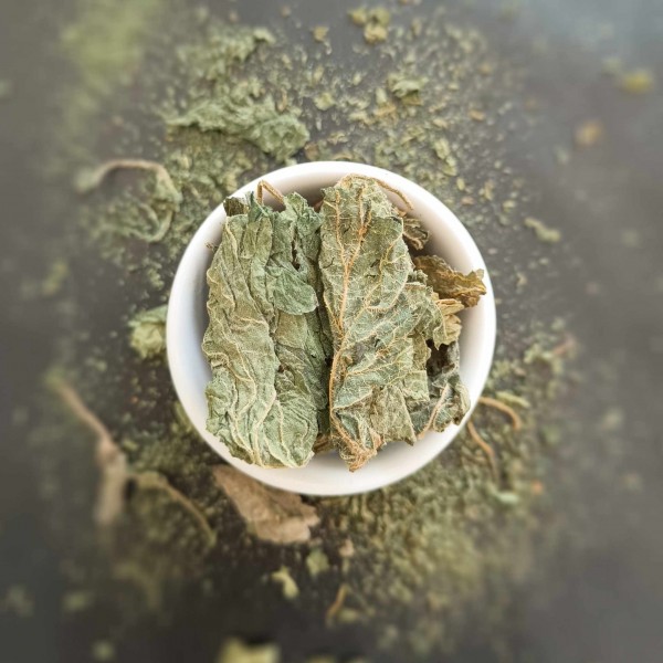 Pokrzywa suszona – liście do naparów i domowych kuracji ziołowych